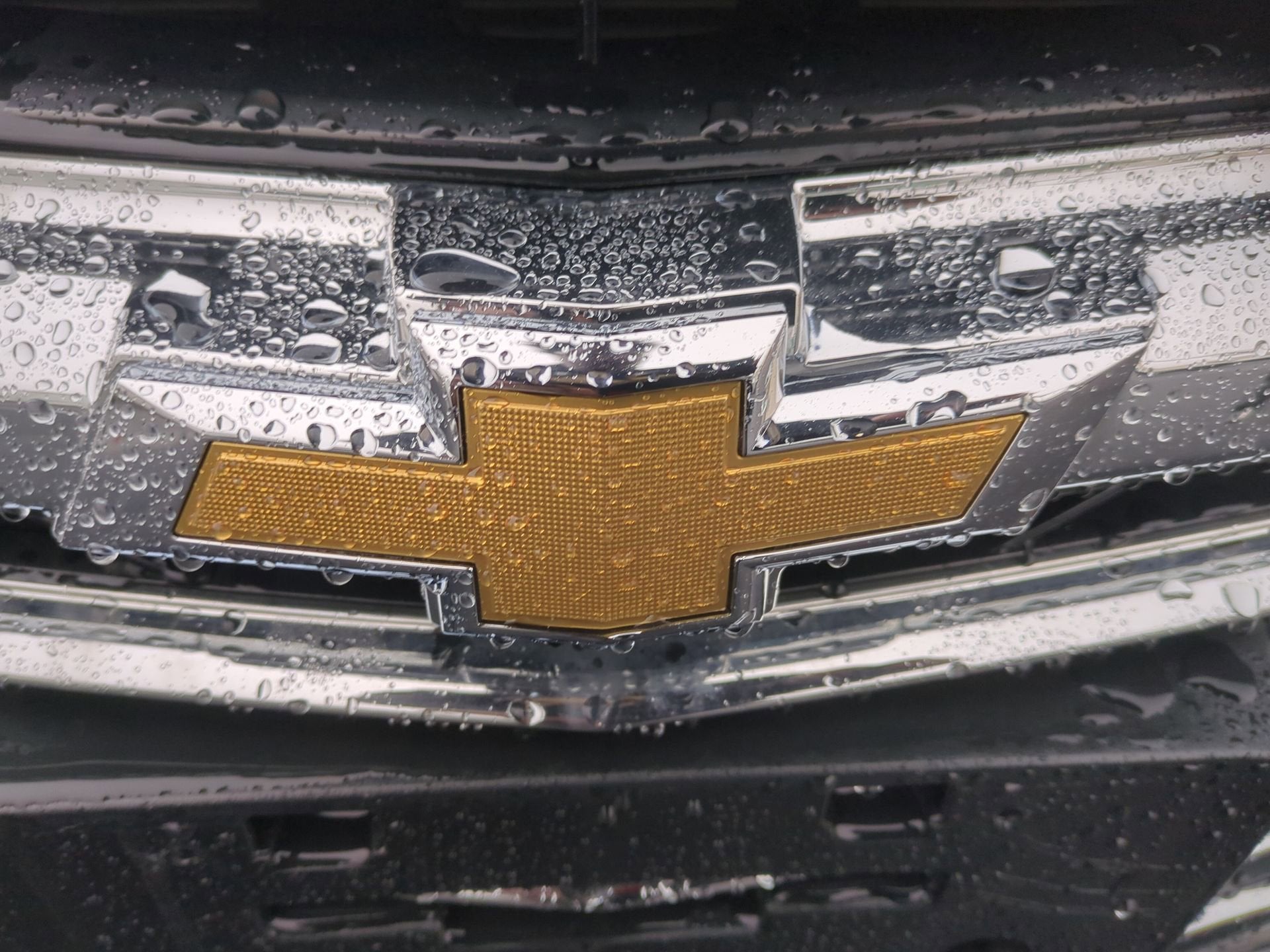 2020 Chevrolet Malibu FL