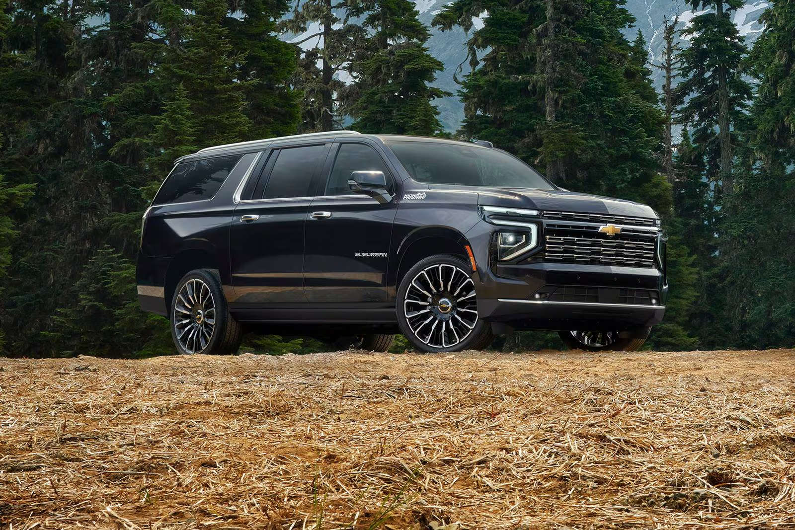 Performance & Capability